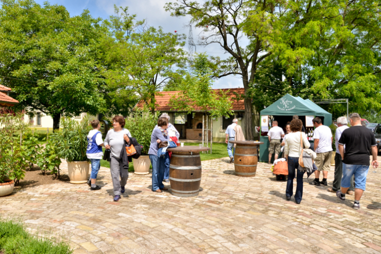 Nyitott Pince Napok - Kökény és Fia Családi Borászat