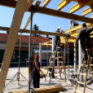 Halad a piac projekt