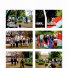 Ez történt Cegléden 2013 