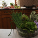 Boszorkánykonyha I.