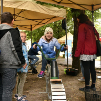 Autómentes nap Cegléden