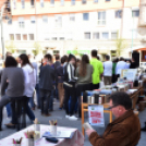 Magyar költészet napja