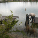 Éhmann Ferenc Emlék Kupa