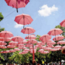 Pöttyös gyermeknap 2019