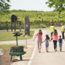 Nyitott Pince Napok - Kökény és Fia Családi Borászat