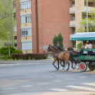 Szerenádoztak a gimisek