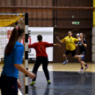 Ceglédi Kék Cápák - Fehérvár KC II. 22 - 28 ( 12 - 14 )