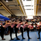 Pályaválasztási kiállítás 