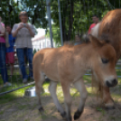 Gyermeknap a Szabadság téren