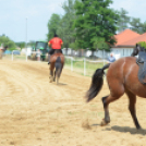 Bor és laskafesztivál - II