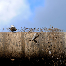 Városi Strandfürdő - Ledarálták az 50-est