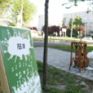 Utcazene Fesztivál - VÁROSNAPOK