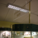 Zsengellér Gyula újratemetése II.