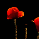 Jójárt György kiállítása a Gimiben