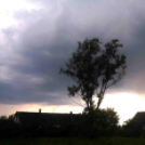 Telefonfotók - Ceglédi hangulatok