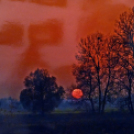 Megnyílt a Ceglédi Fotóklub kiállítása