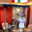 Olimpikonok kiállítás