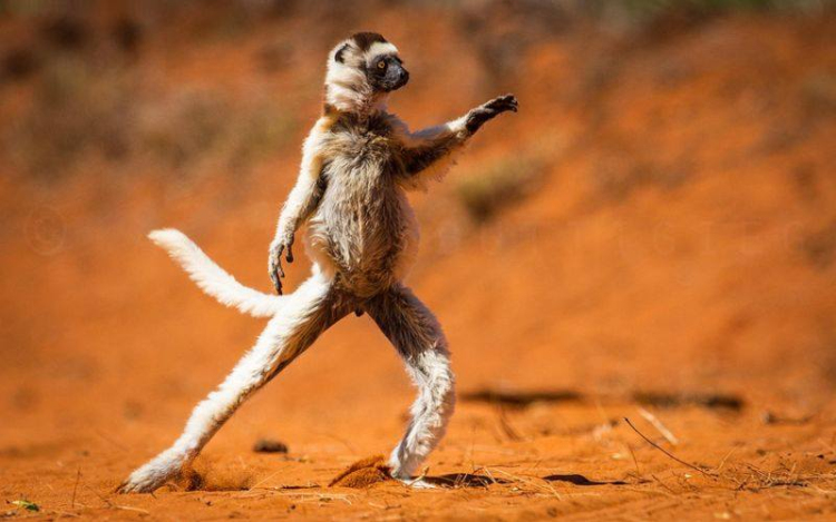 📣  Hőség RIADÓÓÓ!