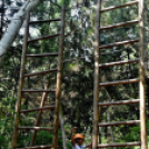 Református nevelőszülők találkoztak Cegléden