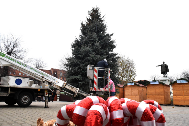 Fenyőfaállítás a Szabadság téren