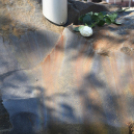 Soha nem múló fájdalom Trianon