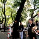 XIX. Kossuth Toborzó - péntek