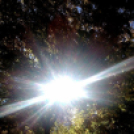 Halló Cegléd! - telefonfotók