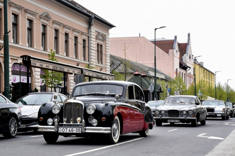 Veterán járműtalálkozó