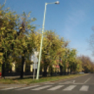 Halló Cegléd - Rákóczi út