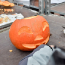 Családi tökfaragás az Oázis Kertészetben