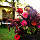 Idősek napja a Szociális Otthonban