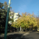 Halló Cegléd - Rákóczi út