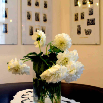 Nagy László kiállítása Albertirsán