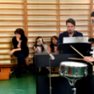 Hangszeres csalogató