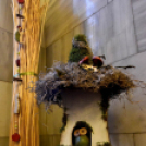 A legszebb kerteket, balkonokat és rajzokat díjazták