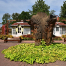 A növénynemesítő nyomában