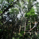 Református nevelőszülők találkoztak Cegléden