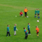 Bozsik program-műfüves pálya építés