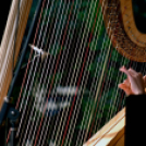 Múzeumok éjszakája