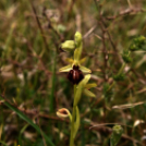 Karanténséta a Gerje parton