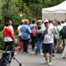 Szépkorúak Sportfesztiválja