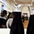 Berda József - Kritikai pályarajz