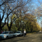 Halló Cegléd - Rákóczi út