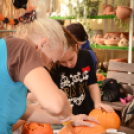 Családi tökfaragás - Oázis Kertészeti Áruház