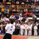 Judo Kupa Cegléden