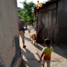 Képesek az önellátásra