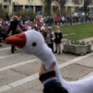 Márton napi felvonulás