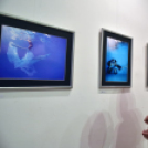 Helios Fotóklub Révkomárom kiállítás megnyitó