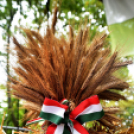 Augusztus 20-i hangulatok