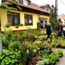 Anyák napi virágvásár és Anyám tyúkja főzőverseny